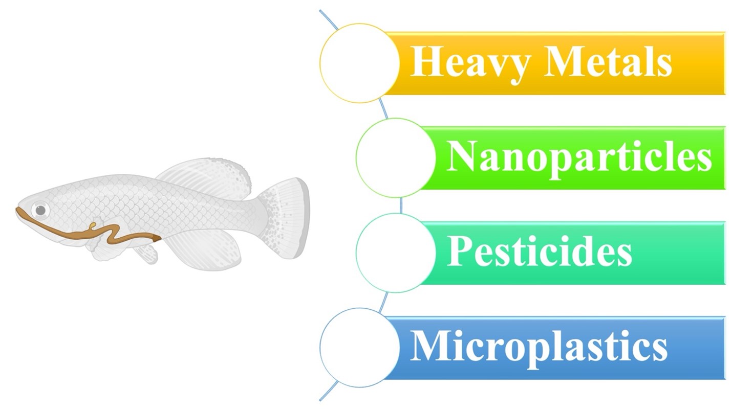 pollutants